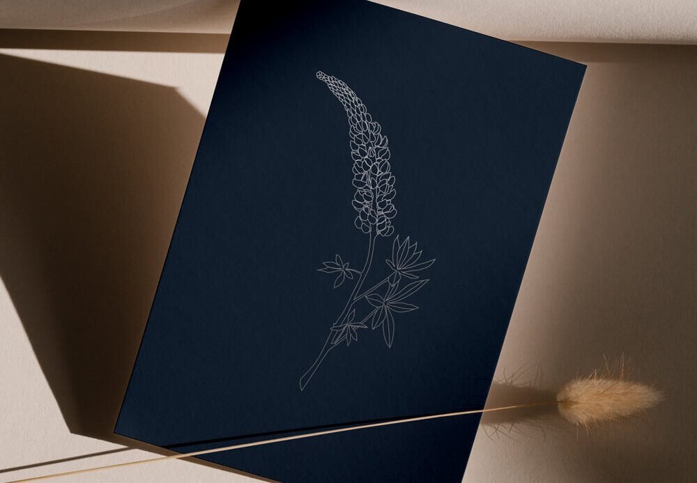 Navy Blue Branding Postcard On a Cream Table with a Stem of Bunny Tail Grass